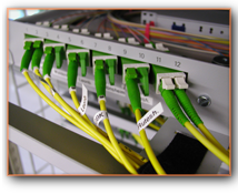 FOM System